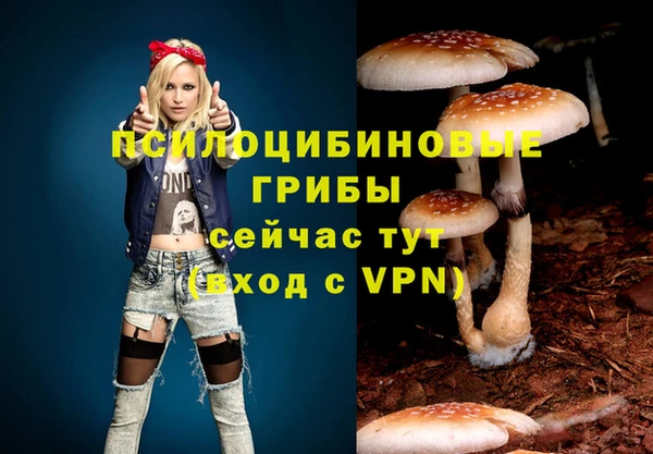 соль курить ск Вязьма