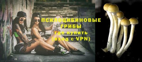 соль курить ск Вязьма
