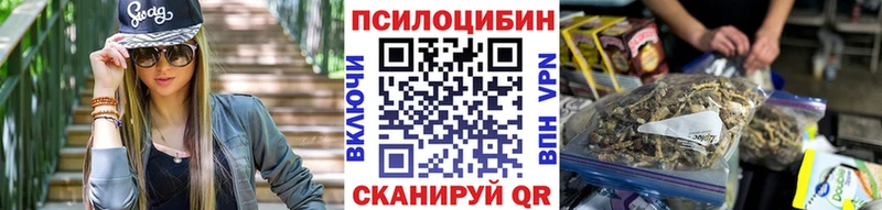 Галлюциногенные грибы Psilocybe  Купить где  Поворино 